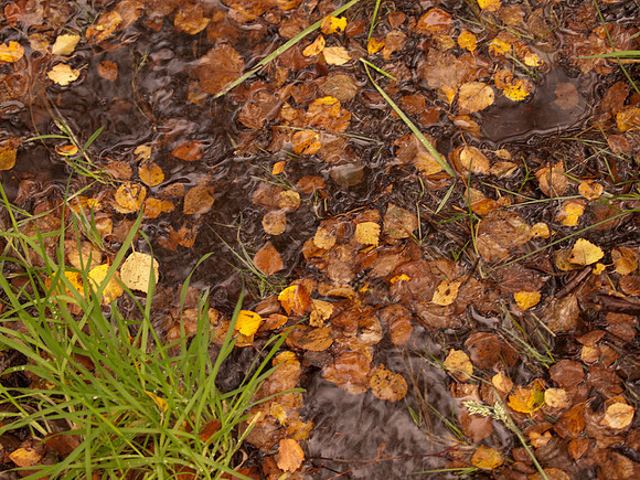20111009-Loch Ruthven-QA094155