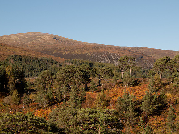 20111002-Glen Affric-QA024103