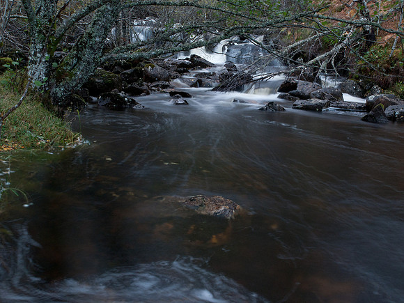 20111022-Glen Affric-QA224554