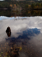 20111002-Glen Affric-QA024016