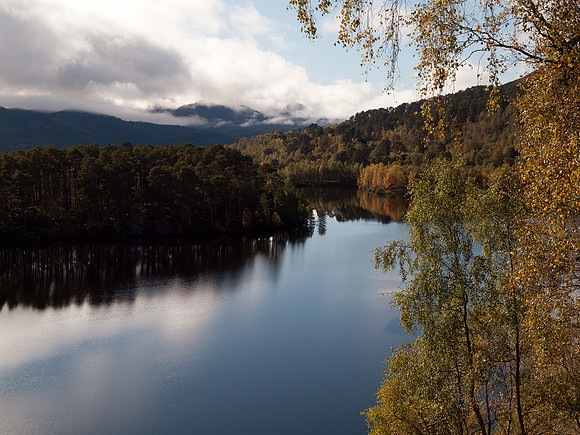 20111002-Glen Affric-QA023987