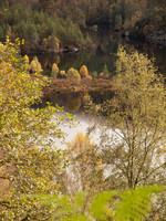 20111002-Glen Affric-QA023967