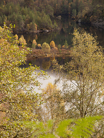 20111002-Glen Affric-QA023967