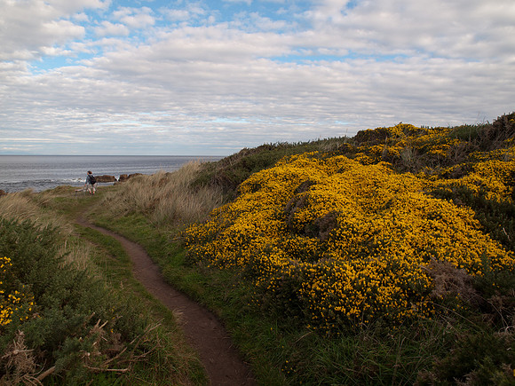 20111014-Hopeman-QA144332