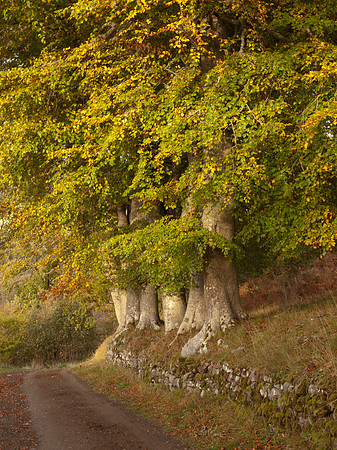 20111019-Clunebeg-QA194539