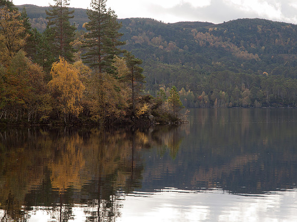 20111002-Glen Affric-QA024014