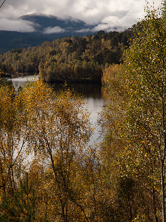 20111002-Glen Affric-QA023984