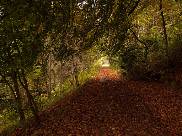 20111009-Craigmonie-QA094208