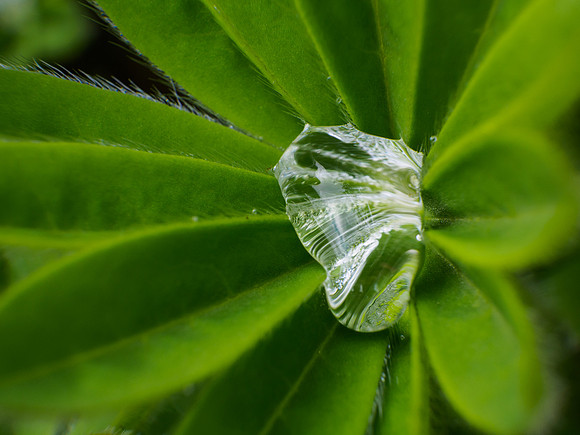 Droplet