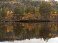 20111002-Glen Affric-QA024015