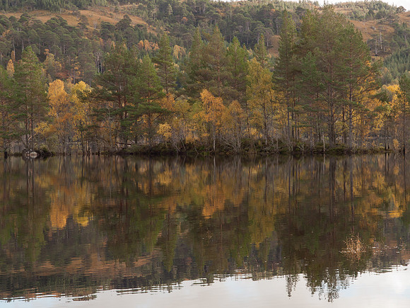 20111002-Glen Affric-QA024015