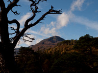 20111002-Glen Affric-QA024029