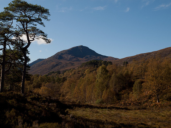 20111002-Glen Affric-QA024078