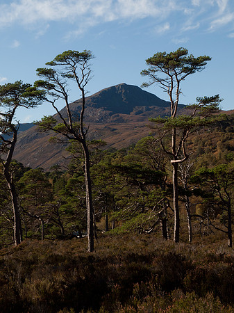 20111002-Glen Affric-QA024076