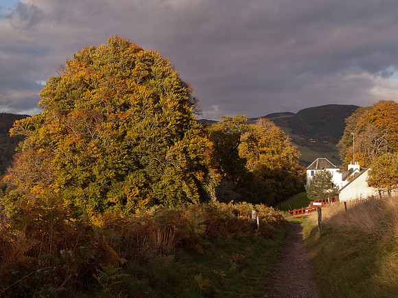 20111019-Clunebeg-QA194516