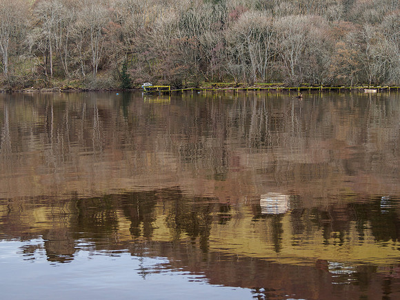 Urquhart Bay Reflection