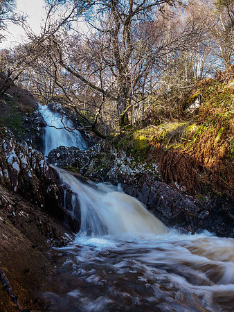 Allt Coillte
