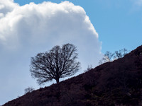 20210501-Glen Coiltie-EM121504