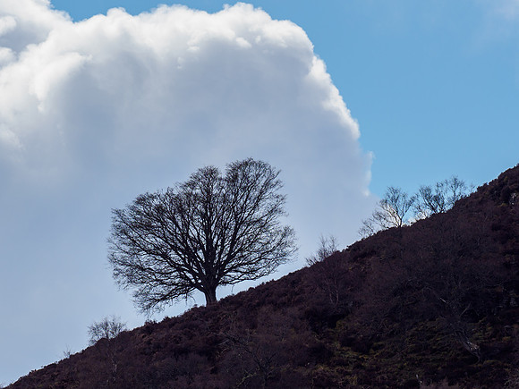 20210501-Glen Coiltie-EM121504