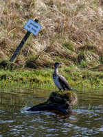 Private Fishing