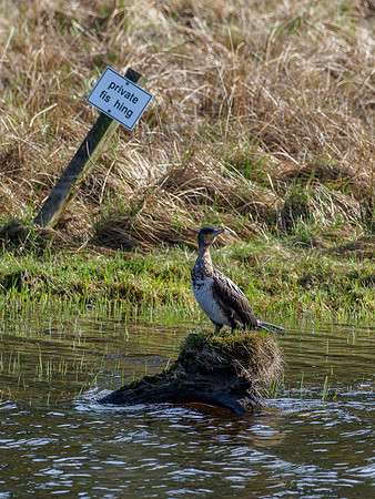 Private Fishing