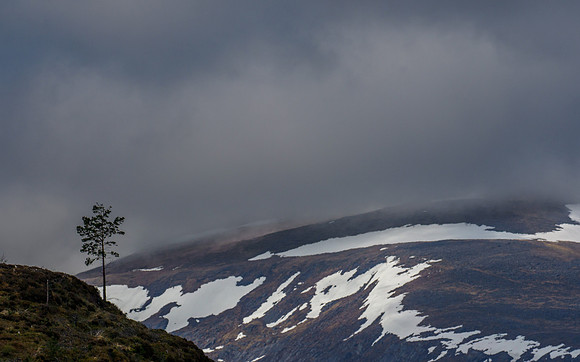 20210515-Glen Cannich-EM122076