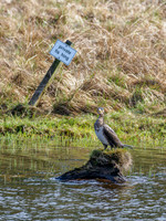 Private Fishing