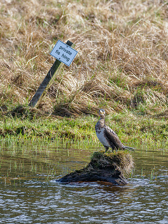 Private Fishing