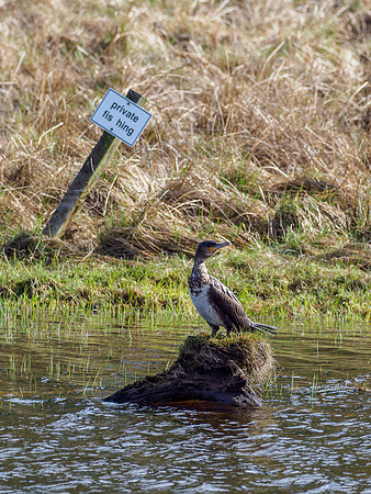 Private Fishing