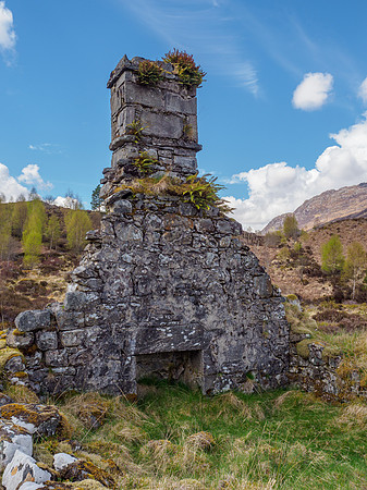 20210515-Glen Cannich-EM122188