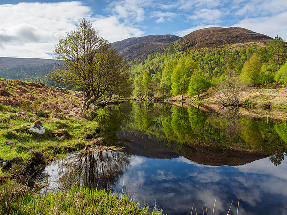20210529-Glen Cannich-EM122778