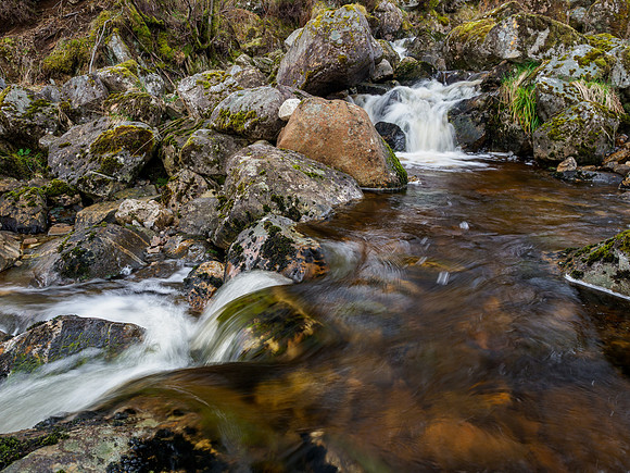 20220416-Glen Cannich-EM123567