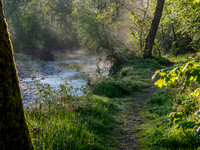 Into the Misty Light [1905017]