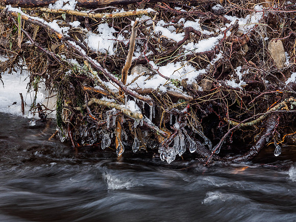 River Icicles