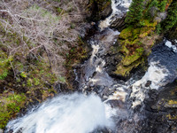 Plodda Falls