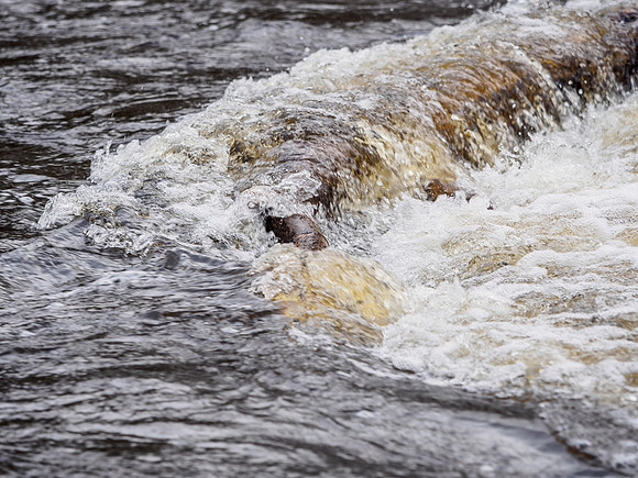 River Enrick, Drumnadrochit