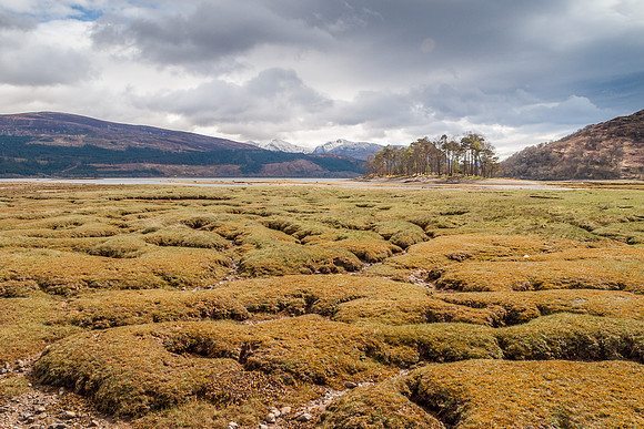 Ardgour 3