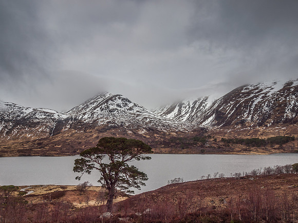 Loch Affric Circular Walk 17