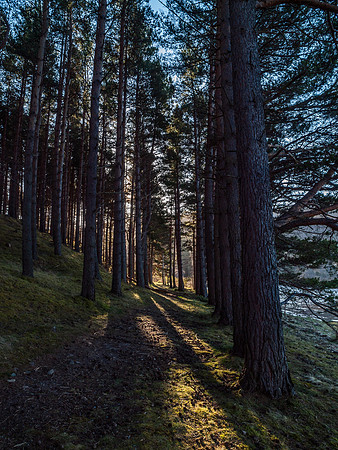 Loch Pityoulish 2