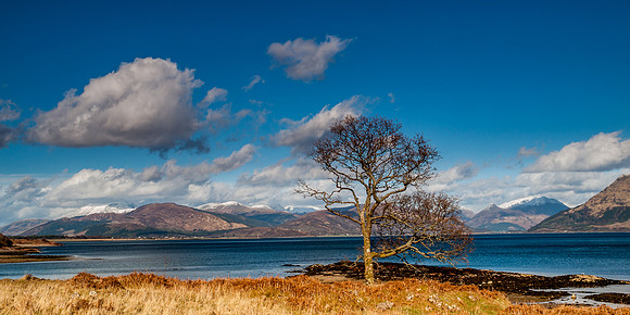 Ardgour 15
