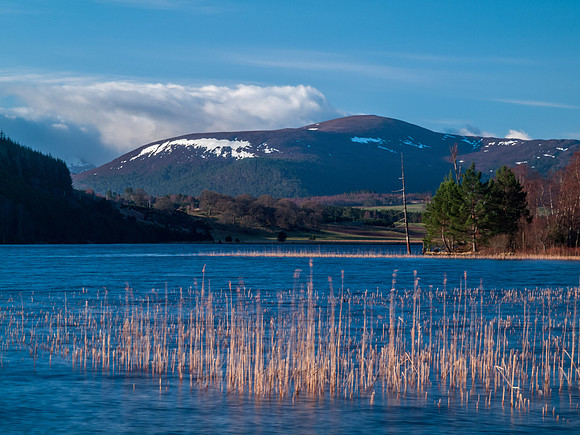 Loch Pityoulish 1