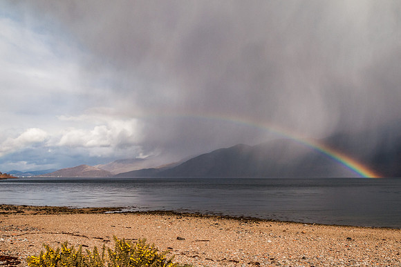 Ardgour 10