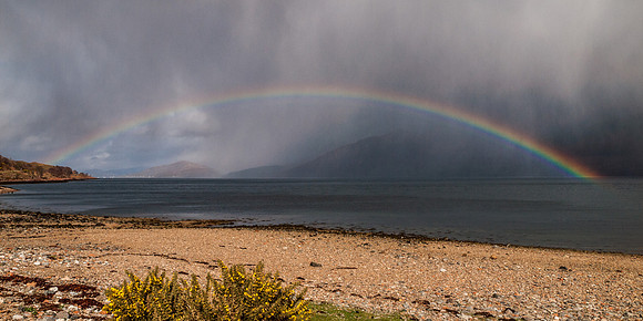 Ardgour 9