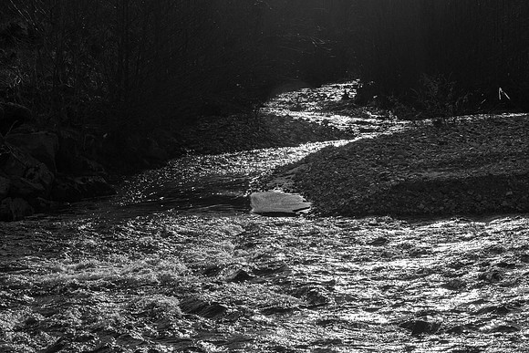 Urquhart Bay Wood 10