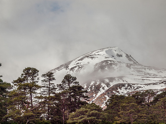 Loch Affric Circular Walk 18