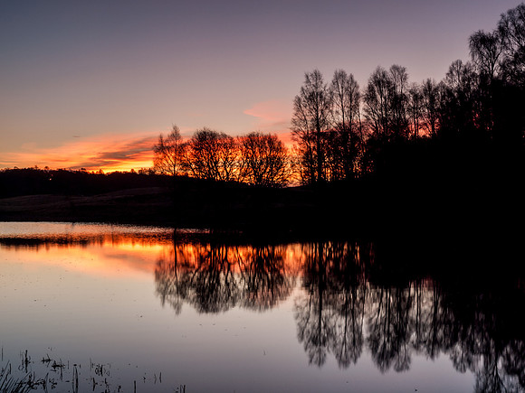 Avie Lochan 1