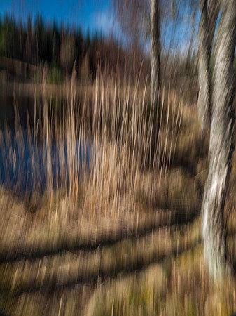 Loch Pityoulish 7