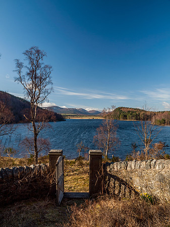 Loch Pityoulish 5