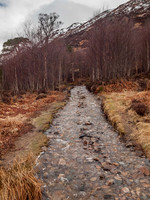 Loch Affric Circular Walk 2