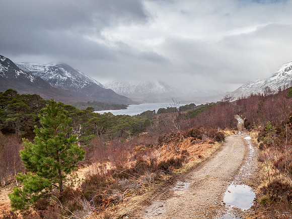 Loch Affric Circular Walk 4